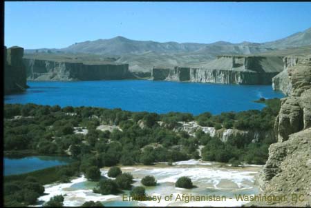 afghan nature